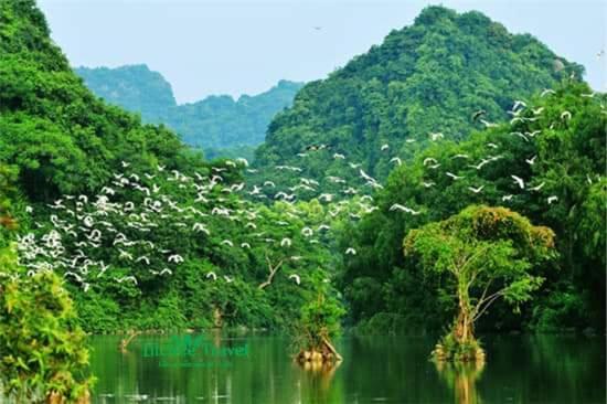 Апартаменты Nha Nghi Bolero Van Lam Экстерьер фото